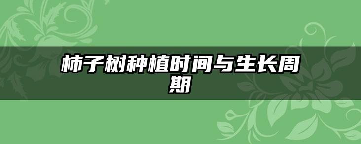 柿子树种植时间与生长周期