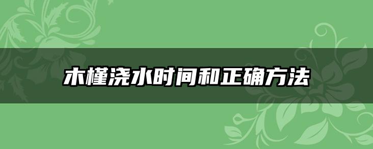 木槿浇水时间和正确方法