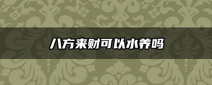 八方来财可以水养吗