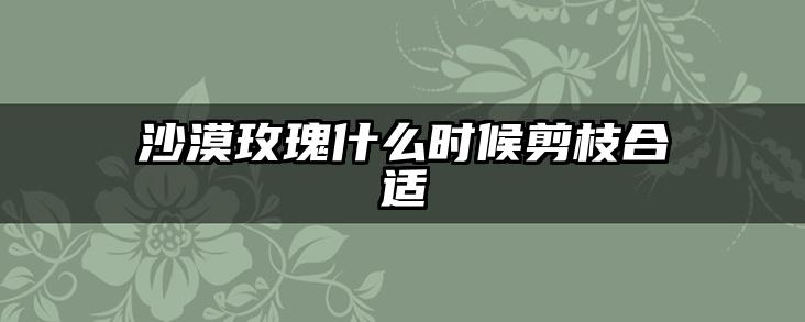 沙漠玫瑰什么时候剪枝合适