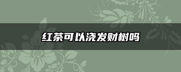 红茶可以浇发财树吗