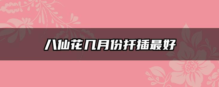 八仙花几月份扦插最好