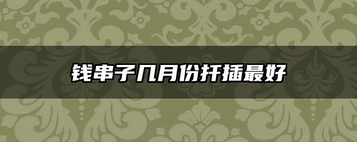钱串子几月份扦插最好