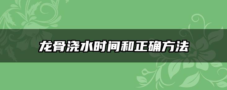 龙骨浇水时间和正确方法