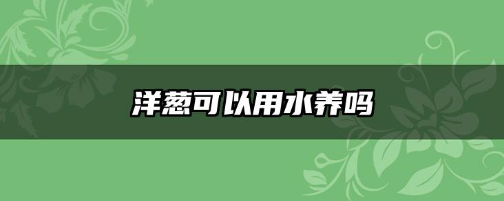 洋葱可以用水养吗