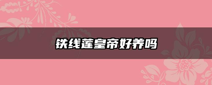 铁线莲皇帝好养吗
