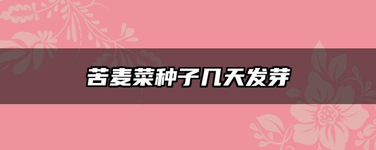 苦麦菜种子几天发芽