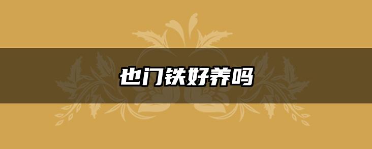 也门铁好养吗