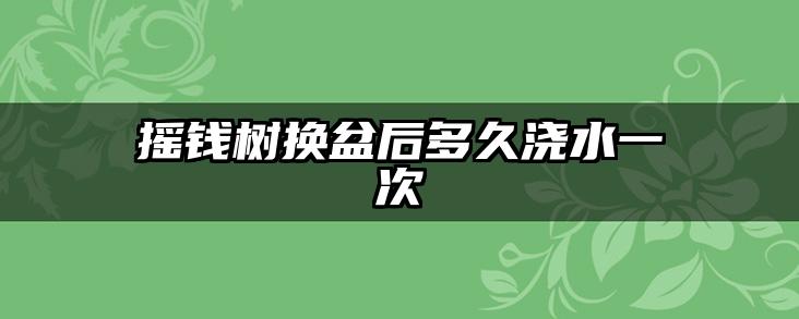 摇钱树换盆后多久浇水一次