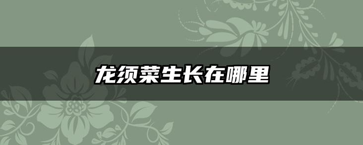 龙须菜生长在哪里