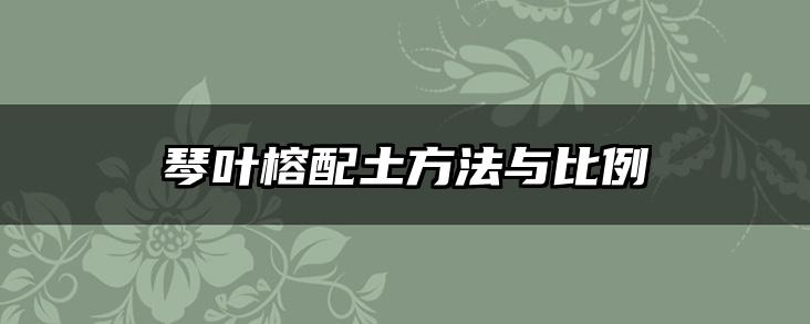 琴叶榕配土方法与比例