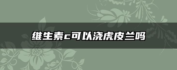 维生素c可以浇虎皮兰吗