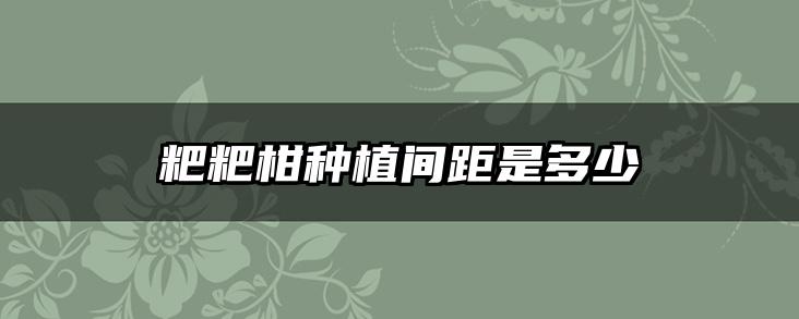 粑粑柑种植间距是多少