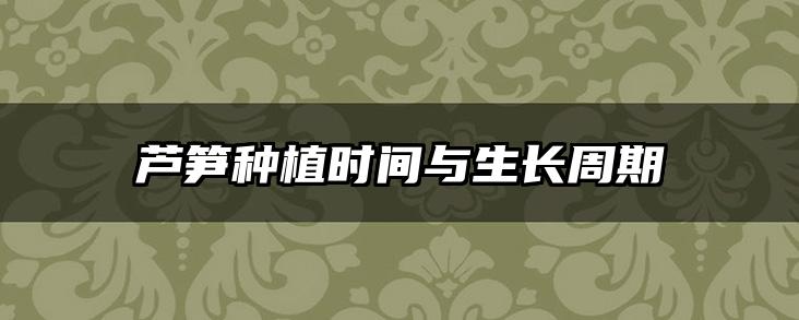 芦笋种植时间与生长周期