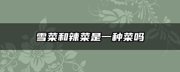 雪菜和辣菜是一种菜吗
