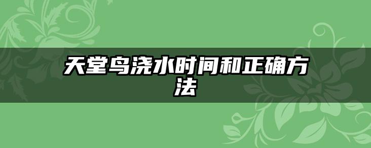 天堂鸟浇水时间和正确方法