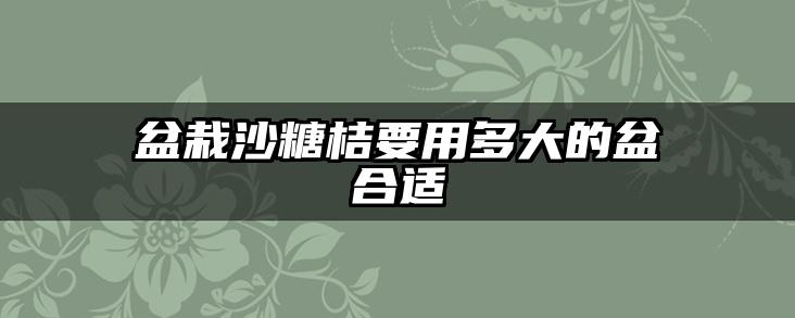 盆栽沙糖桔要用多大的盆合适