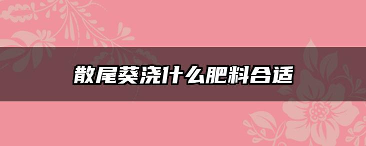 散尾葵浇什么肥料合适