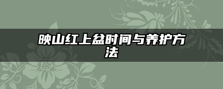 映山红上盆时间与养护方法