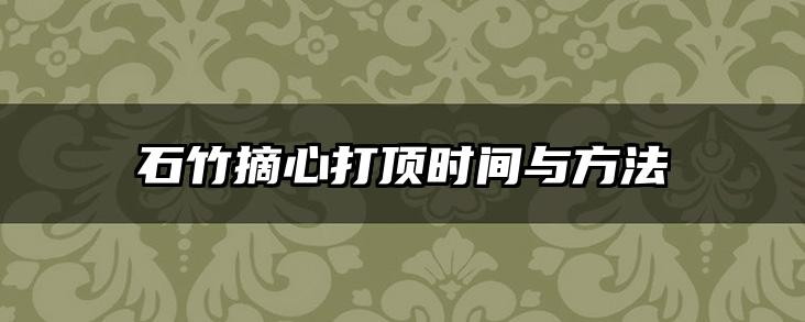 石竹摘心打顶时间与方法