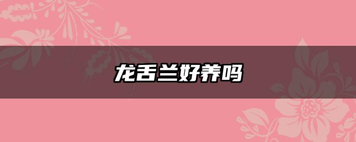 龙舌兰好养吗