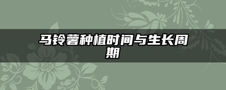 马铃薯种植时间与生长周期