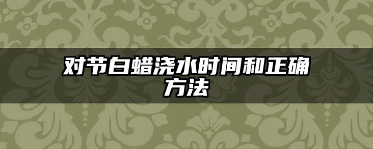 对节白蜡浇水时间和正确方法