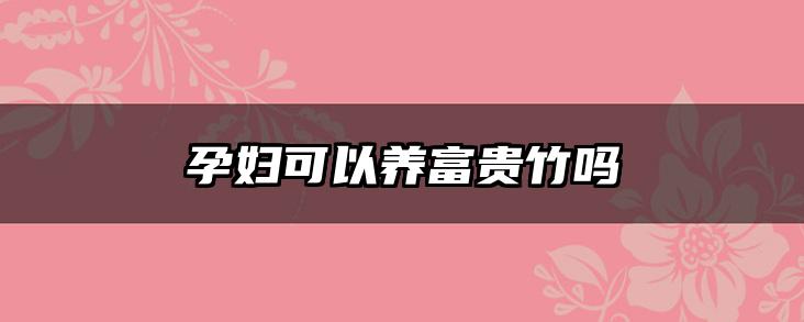 孕妇可以养富贵竹吗