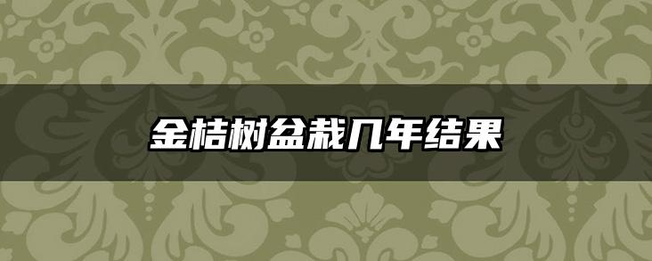 金桔树盆栽几年结果