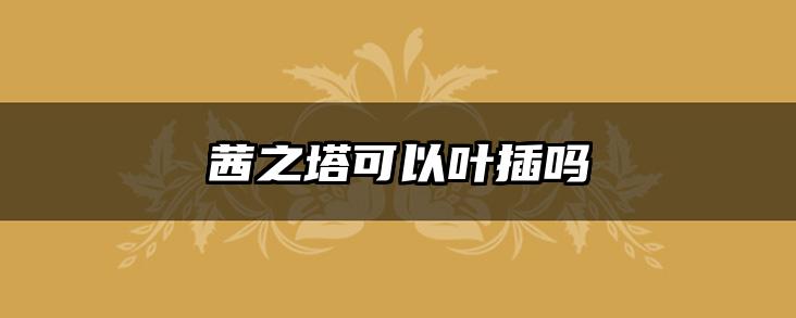 茜之塔可以叶插吗