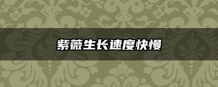 紫薇生长速度快慢