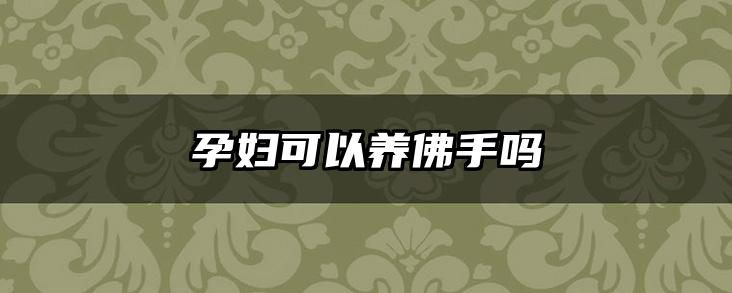 孕妇可以养佛手吗