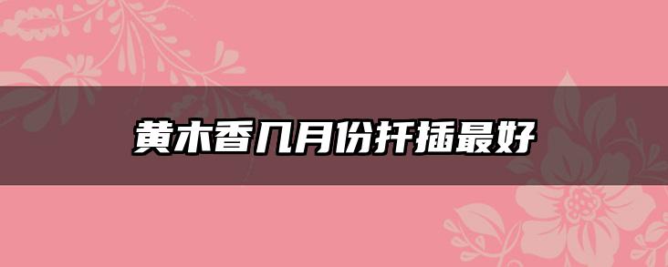 黄木香几月份扦插最好