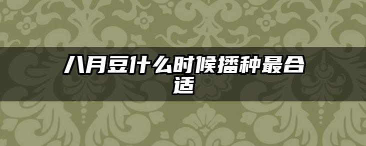 八月豆什么时候播种最合适
