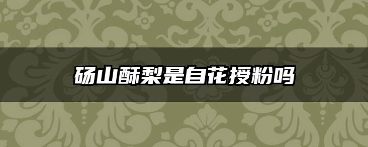 砀山酥梨是自花授粉吗