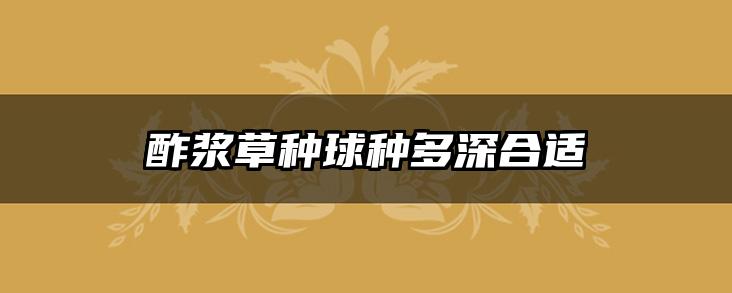 酢浆草种球种多深合适