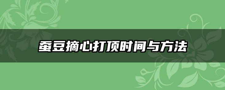 蚕豆摘心打顶时间与方法