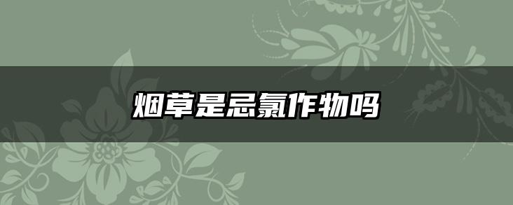 烟草是忌氯作物吗