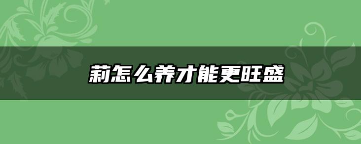 苿莉怎么养才能更旺盛