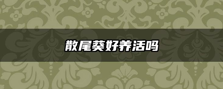 散尾葵好养活吗