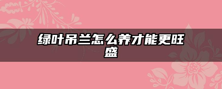 绿叶吊兰怎么养才能更旺盛