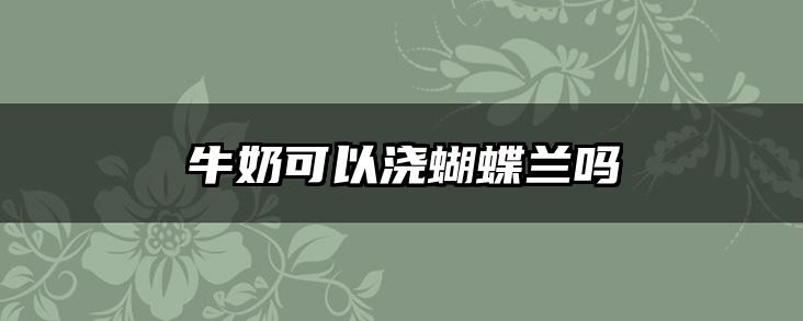 牛奶可以浇蝴蝶兰吗