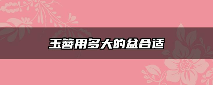 玉簪用多大的盆合适