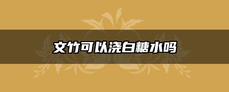 文竹可以浇白糖水吗
