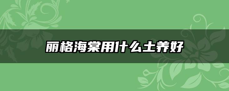 丽格海棠用什么土养好