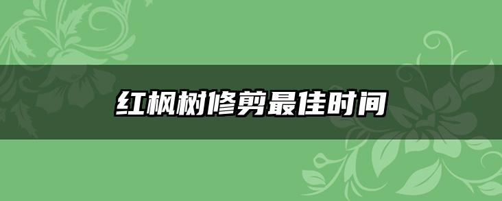 红枫树修剪最佳时间