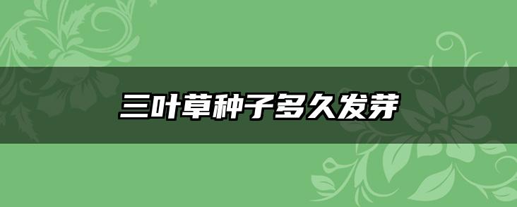 三叶草种子多久发芽