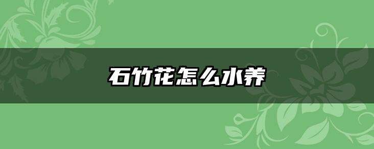 石竹花怎么水养