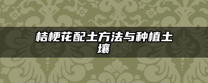 桔梗花配土方法与种植土壤