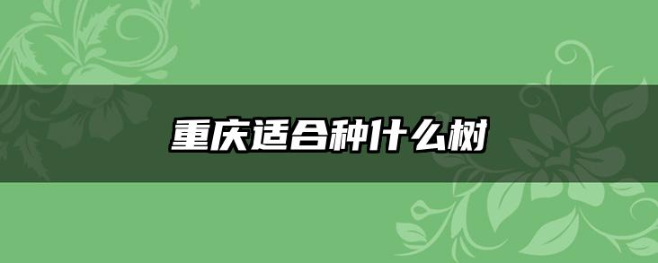 重庆适合种什么树